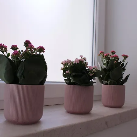 Vico Gabella كاستيلانا غروتي