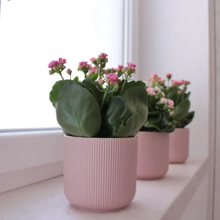 Bed & Breakfast Vico Gabella 3*